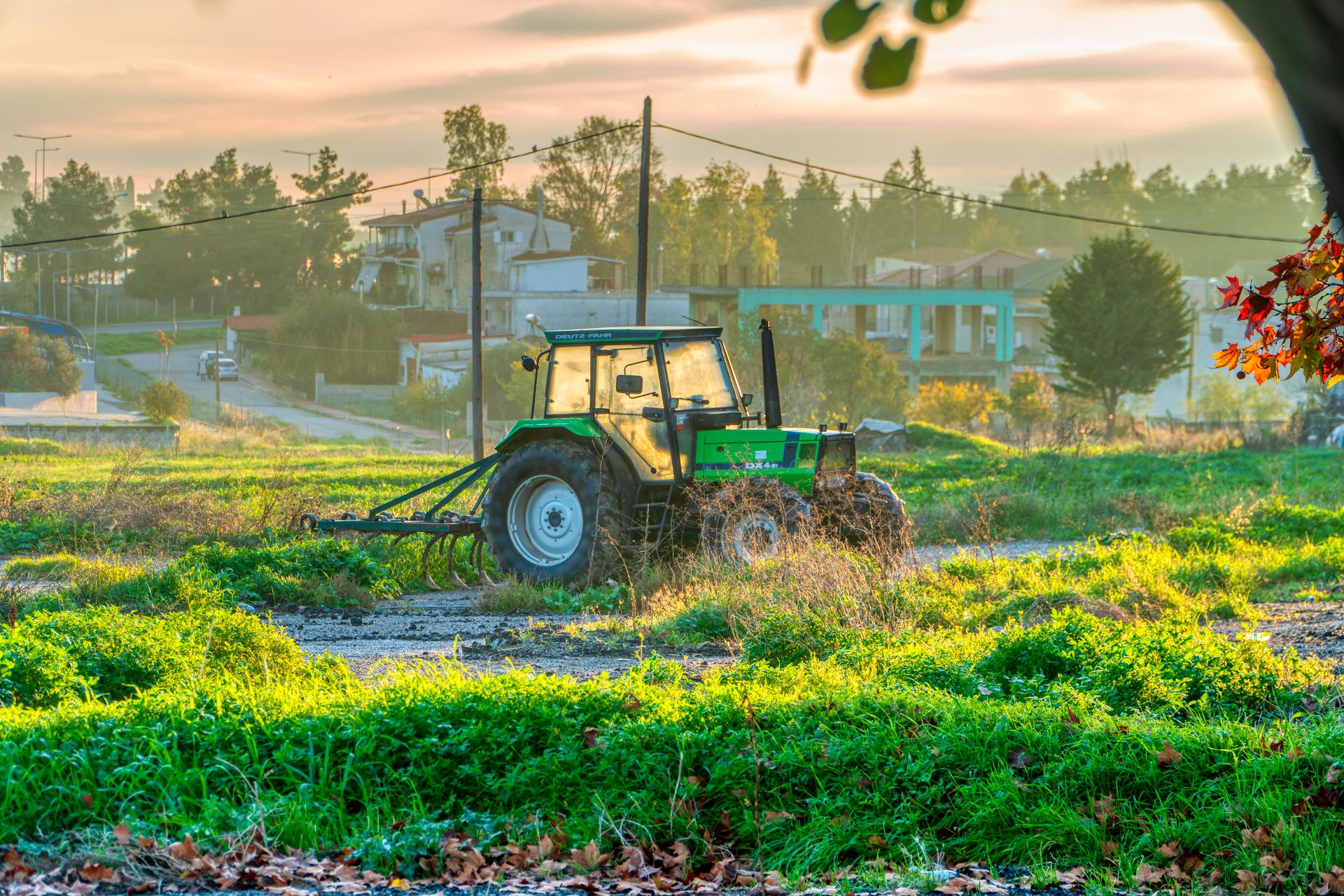 Agriculture